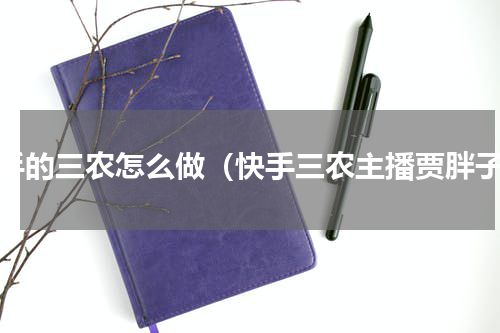 快手的三农怎么做（快手三农主播贾胖子）