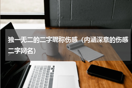 独一无二的二字昵称伤感（内涵深意的伤感二字网名）
