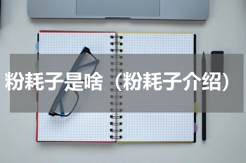 粉耗子是啥（粉耗子介绍）