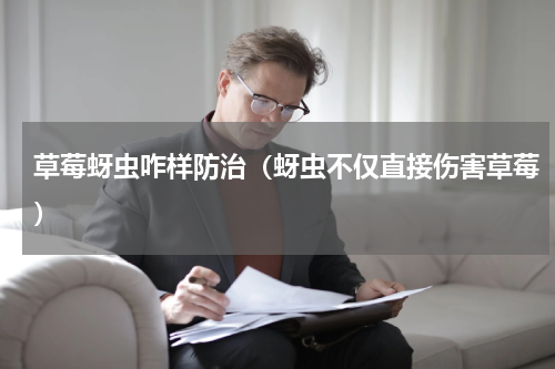 草莓蚜虫咋样防治（蚜虫不仅直接伤害草莓）