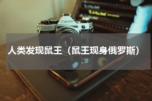 人类发现鼠王（鼠王现身俄罗斯）