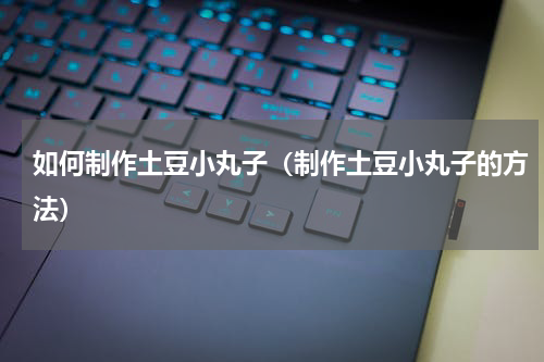 如何制作土豆小丸子（制作土豆小丸子的方法）