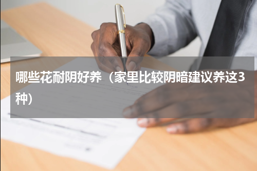 哪些花耐阴好养（家里比较阴暗建议养这3种）