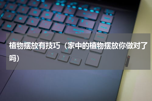 植物摆放有技巧（家中的植物摆放你做对了吗）