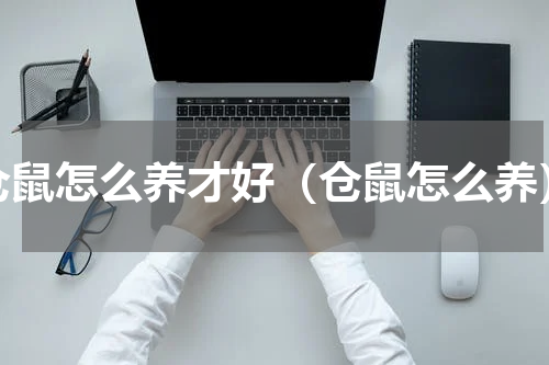 仓鼠怎么养才好（仓鼠怎么养）