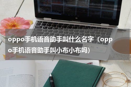 oppo手机语音助手叫什么名字（oppo手机语音助手叫小布小布吗）