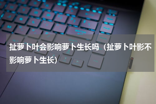 扯萝卜叶会影响萝卜生长吗（扯萝卜叶影不影响萝卜生长）