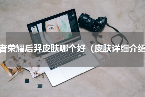 王者荣耀后羿皮肤哪个好（皮肤详细介绍）