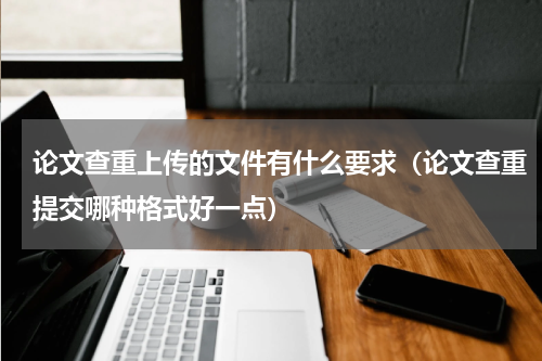 论文查重上传的文件有什么要求（论文查重提交哪种格式好一点）