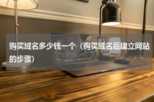 购买域名多少钱一个（购买域名后建立网站的步骤）