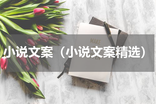 小说文案（小说文案精选）