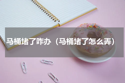 马桶堵了咋办（马桶堵了怎么弄）