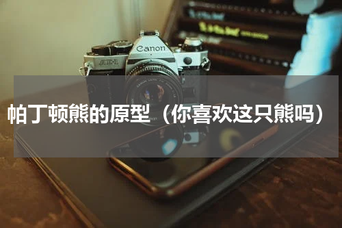 帕丁顿熊的原型（你喜欢这只熊吗）