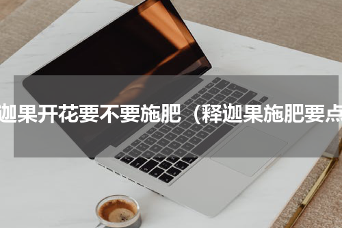 释迦果开花要不要施肥（释迦果施肥要点）