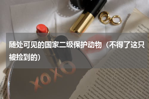 随处可见的国家二级保护动物（不得了这只被捡到的）