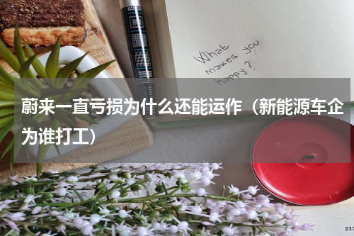 蔚来一直亏损为什么还能运作（新能源车企为谁打工）