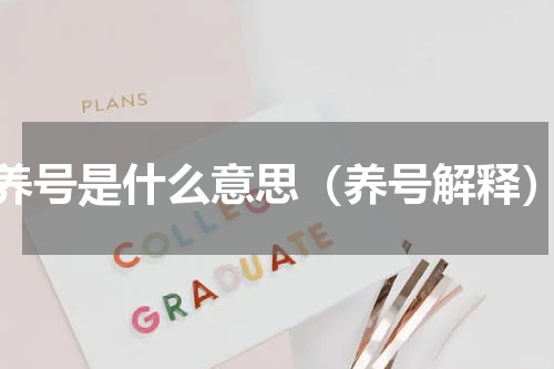 养号是什么意思（养号解释）