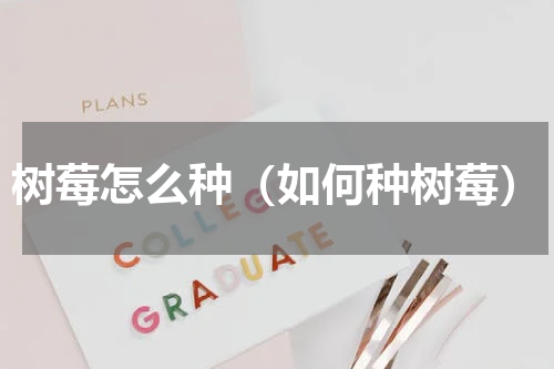 树莓怎么种（如何种树莓）