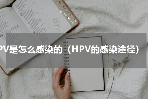 HPV是怎么感染的（HPV的感染途径）