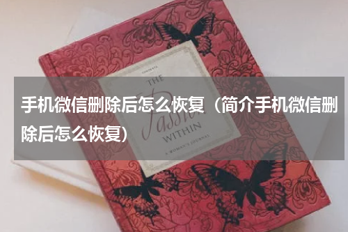 手机微信删除后怎么恢复（简介手机微信删除后怎么恢复）