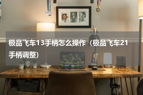 极品飞车13手柄怎么操作（极品飞车21手柄调整）