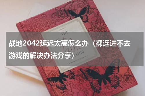 战地2042延迟太高怎么办（裸连进不去游戏的解决办法分享）