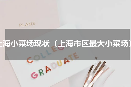 上海小菜场现状（上海市区最大小菜场）