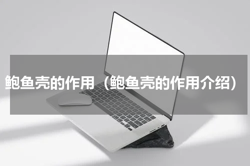 鲍鱼壳的作用（鲍鱼壳的作用介绍）
