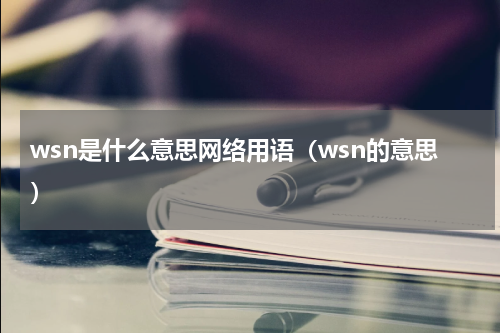 wsn是什么意思网络用语（wsn的意思）