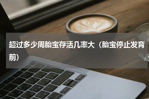 超过多少周胎宝存活几率大（胎宝停止发育前）