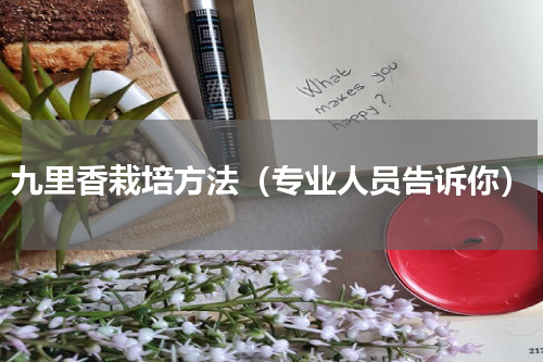 九里香栽培方法（专业人员告诉你）