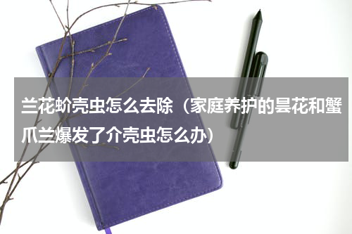 兰花蚧壳虫怎么去除（家庭养护的昙花和蟹爪兰爆发了介壳虫怎么办）