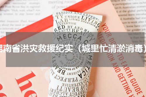 湖南省洪灾救援纪实（城里忙清淤消毒）