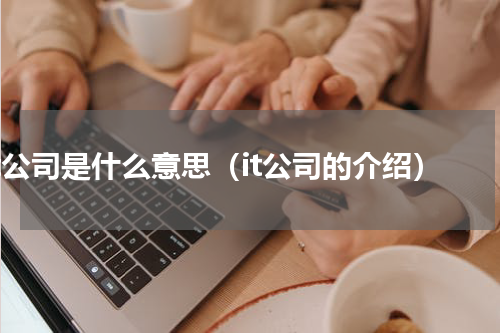 it公司是什么意思（it公司的介绍）