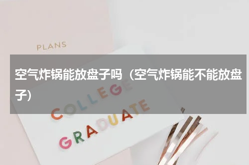空气炸锅能放盘子吗（空气炸锅能不能放盘子）