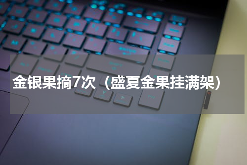 金银果摘7次（盛夏金果挂满架）
