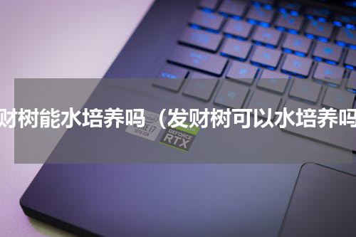 发财树能水培养吗（发财树可以水培养吗）