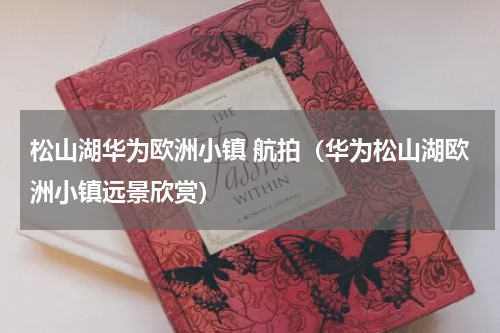 松山湖华为欧洲小镇 航拍（华为松山湖欧洲小镇远景欣赏）
