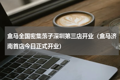 盒马全国密集落子深圳第三店开业（盒马济南首店今日正式开业）
