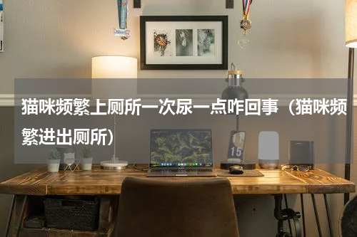 猫咪频繁上厕所一次尿一点咋回事（猫咪频繁进出厕所）