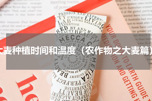大麦种植时间和温度（农作物之大麦篇）