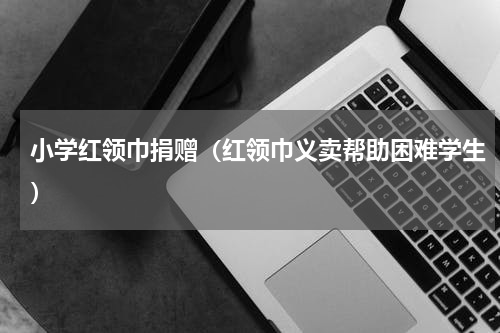 小学红领巾捐赠（红领巾义卖帮助困难学生）
