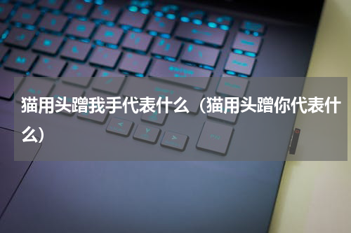 猫用头蹭我手代表什么（猫用头蹭你代表什么）