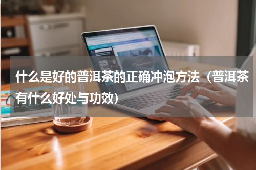 什么是好的普洱茶的正确冲泡方法（普洱茶有什么好处与功效）