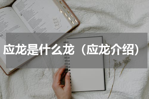 应龙是什么龙（应龙介绍）