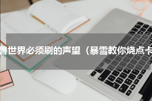 魔兽世界必须刷的声望（暴雪教你烧点卡）