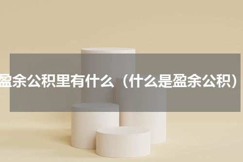 盈余公积里有什么（什么是盈余公积）