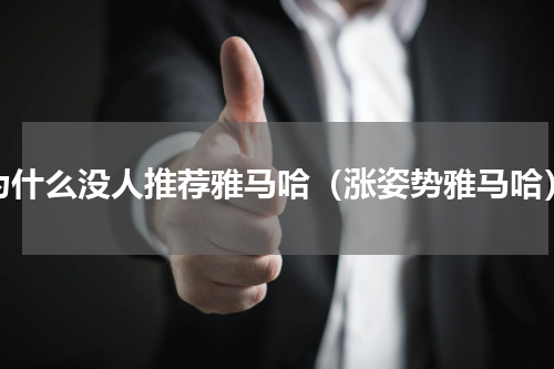 为什么没人推荐雅马哈（涨姿势雅马哈）