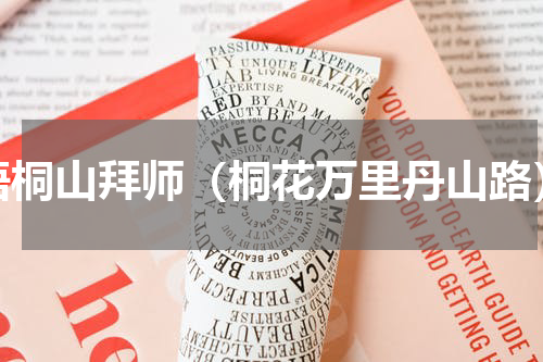 梧桐山拜师（桐花万里丹山路）