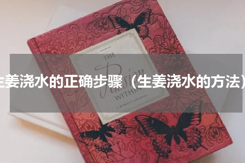 生姜浇水的正确步骤（生姜浇水的方法）
